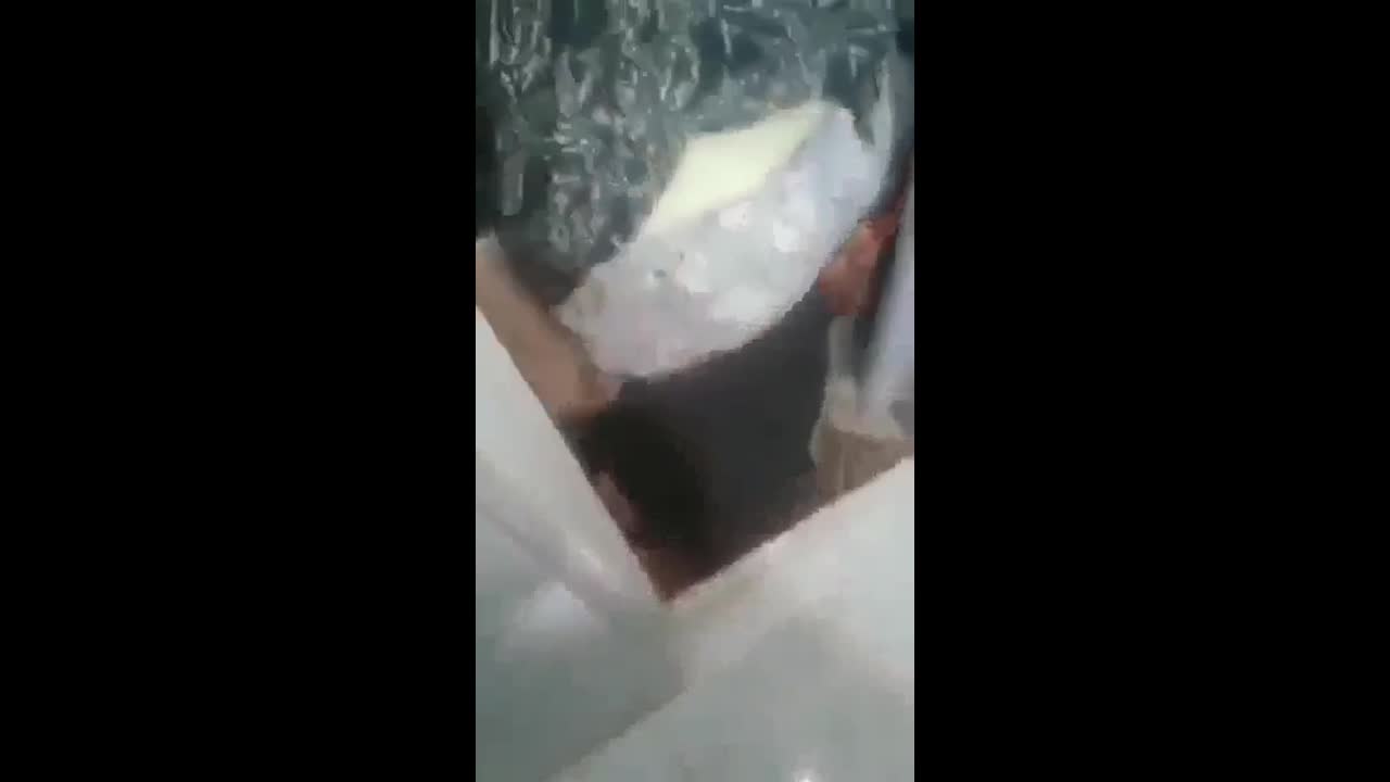 Myd pk video collection 152025107