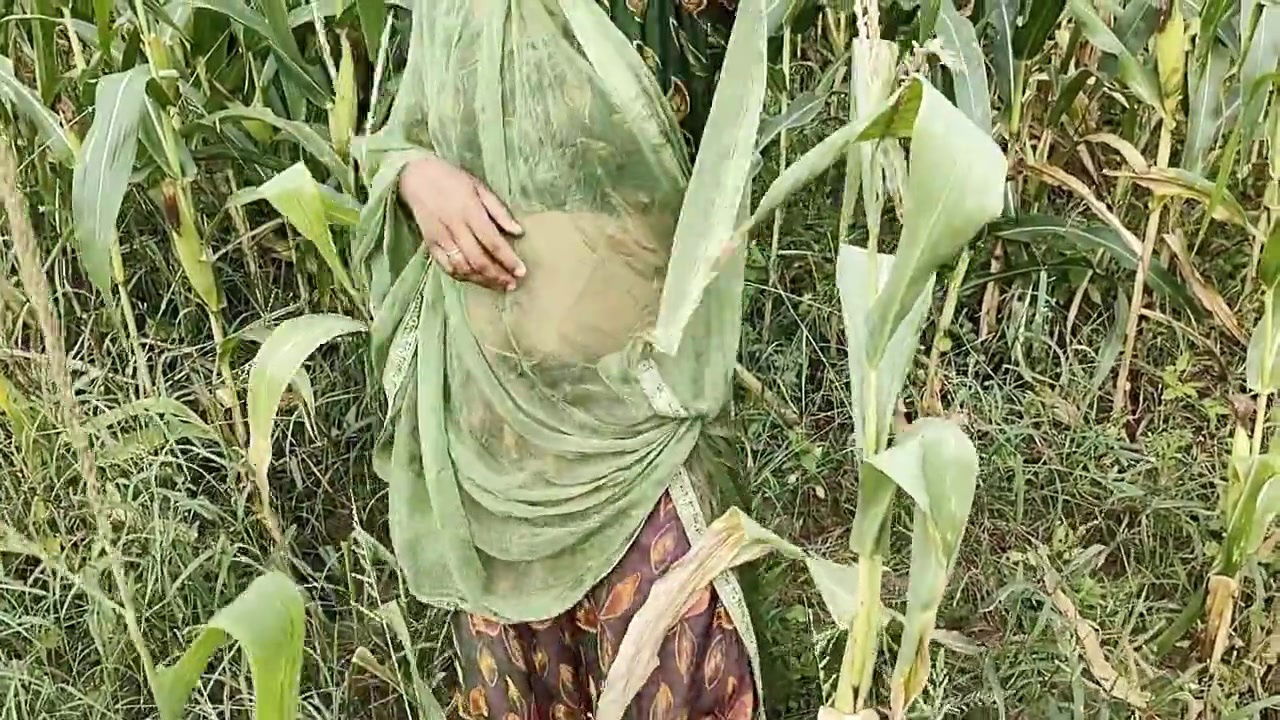 Desi Village Girl Was Stealing Maize, the Farm Owner Fucked Her Hindi Audio Outdoor Jungle Sex